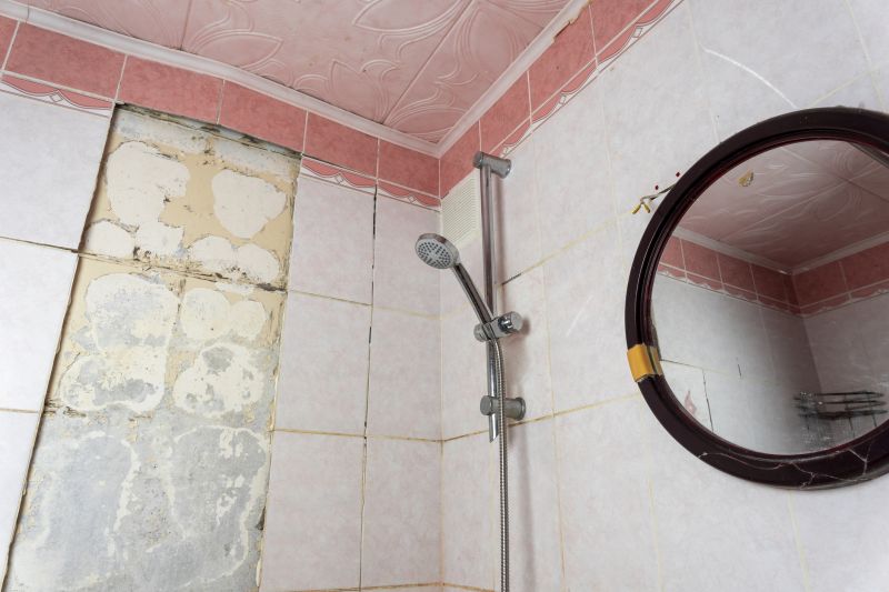 Top Shower Remodeling Companies in Waxhaw, NC